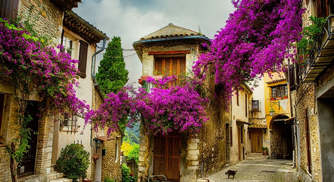 Levandulová Provence s možností koupání