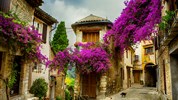 Návštěva Provence s vůní levandule