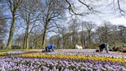 Velikonoční Amsterdam, park Keukenhof a skanzen Zaanse Schans