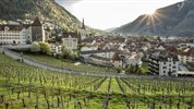 Po stopách Lichtenštejnů: Lichtenštejnsko, Rakousko, Švýcarsko