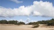 Cyklotoulky kolem písečných jezer až na Českou Saharu 3*