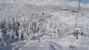 Jednodenní lyžování Vogel Ski Resort