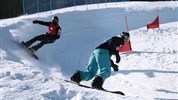Jednodenní lyžování – Dolní Morava