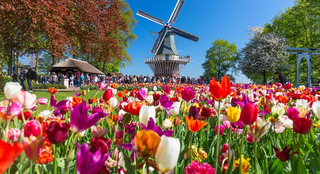 Květinový park Keukenhof a Amsterdam
