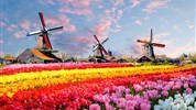 Květinový park Keukenhof a Amsterdam