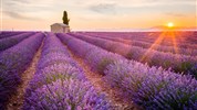 Levandulová Provence - poklady jižní Francie - Valensole