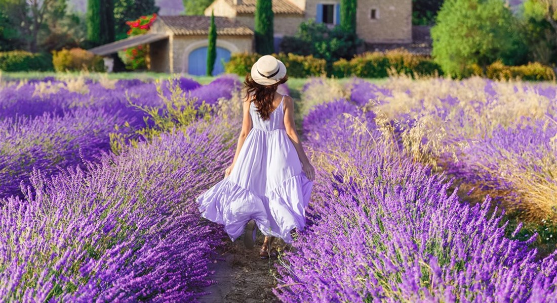 Levandulová Provence - poklady jižní Francie - Valensole