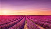 Levandulová Provence - poklady jižní Francie - Valensole