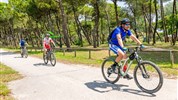 Camping Mare e Pineta